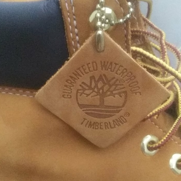 Timberlands - Picture 2 of 3